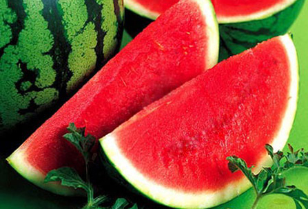Watermelon Export 