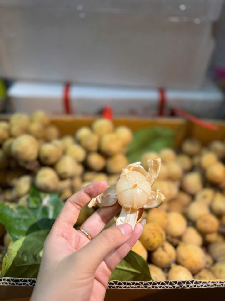 Bòn bon thái