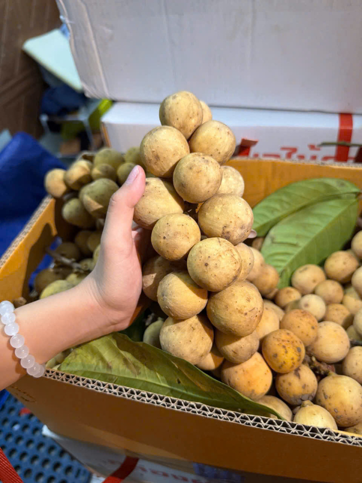 Bòn bon thái