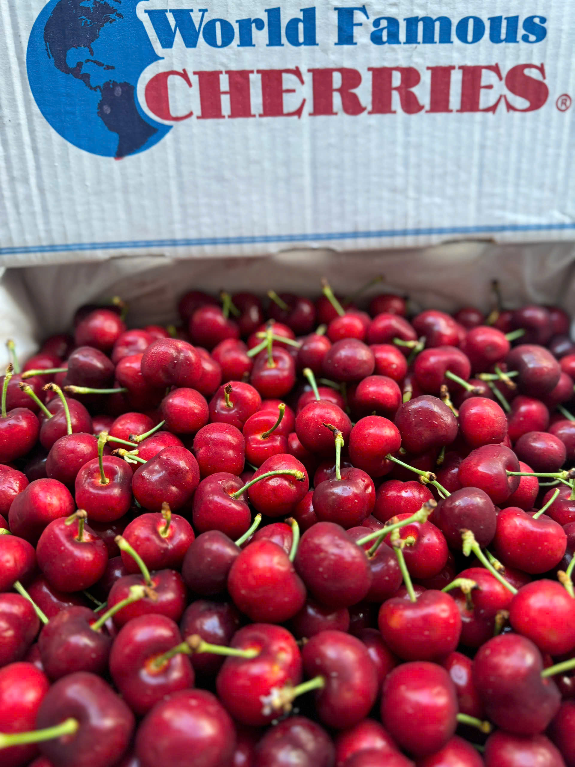 Cherry stemitl