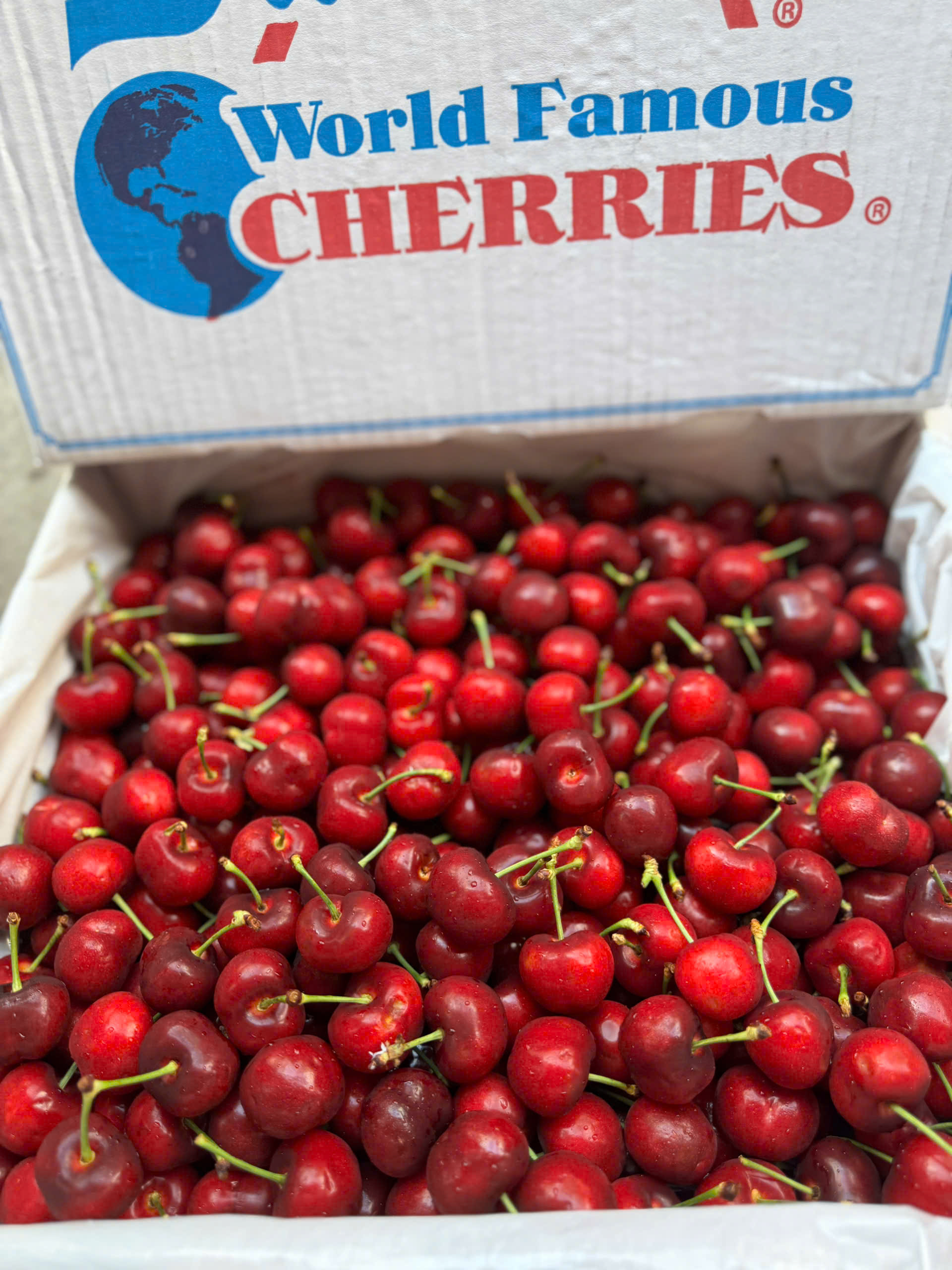 Cherry stemitl