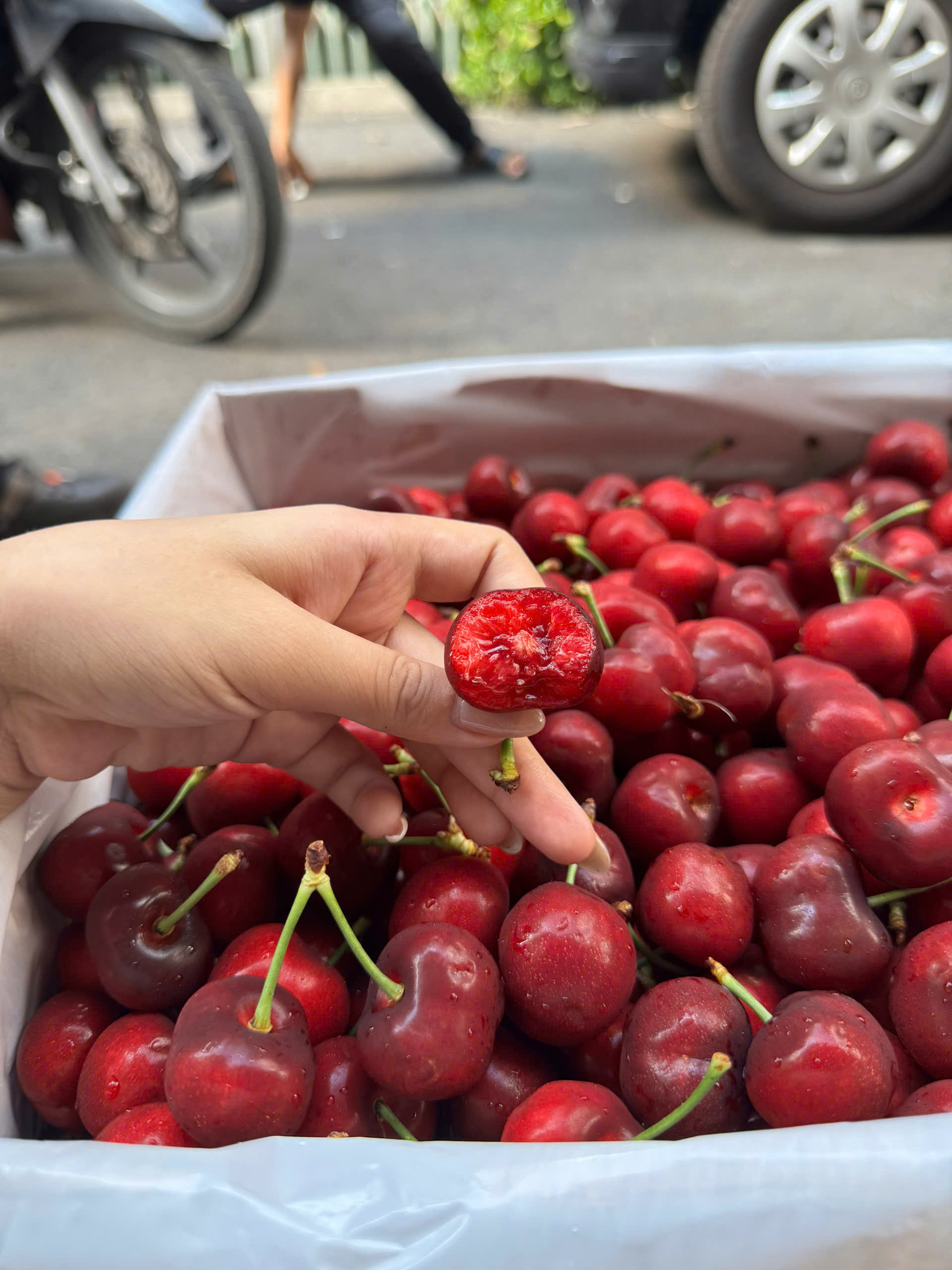 Cherry stemitl