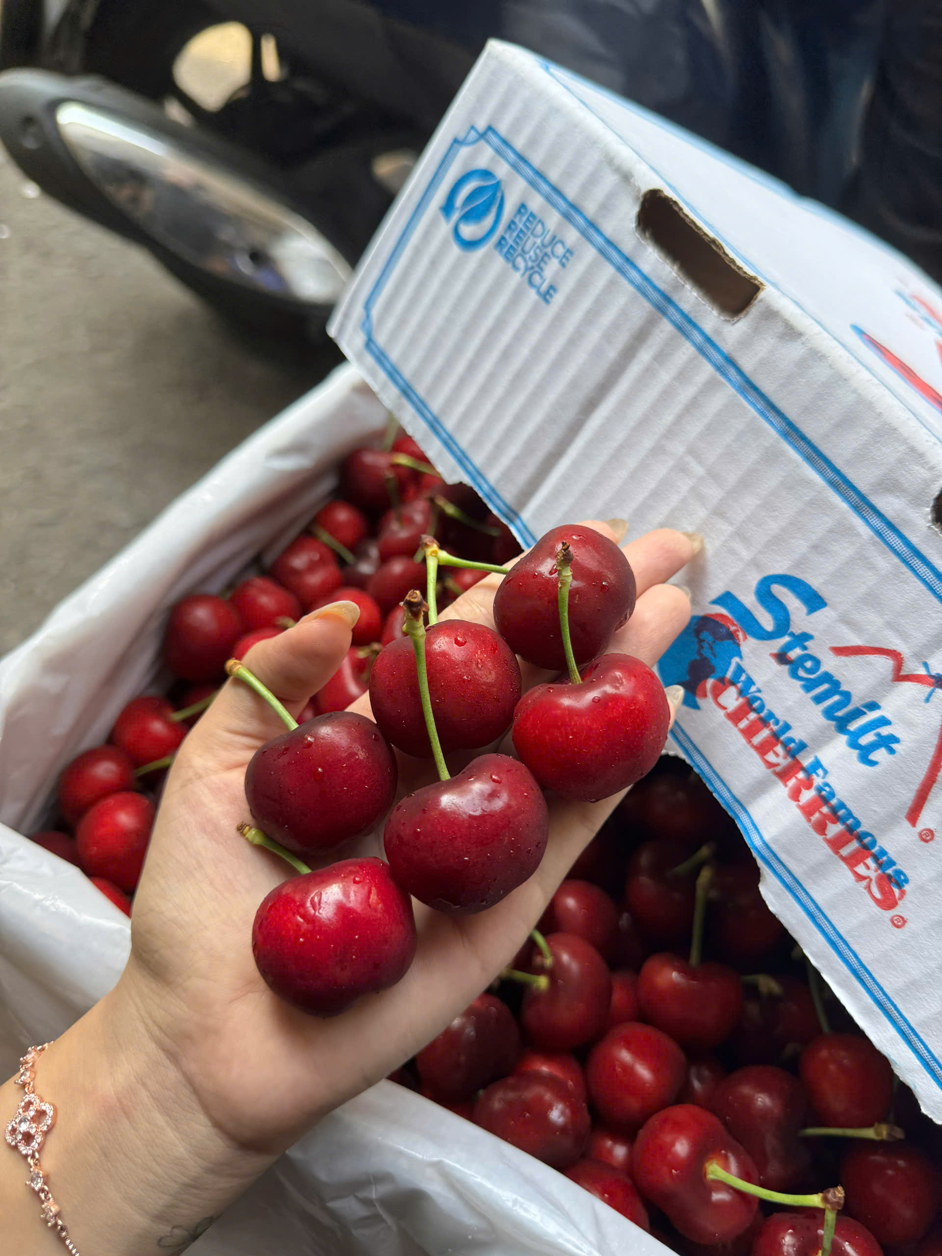Cherry stemitl