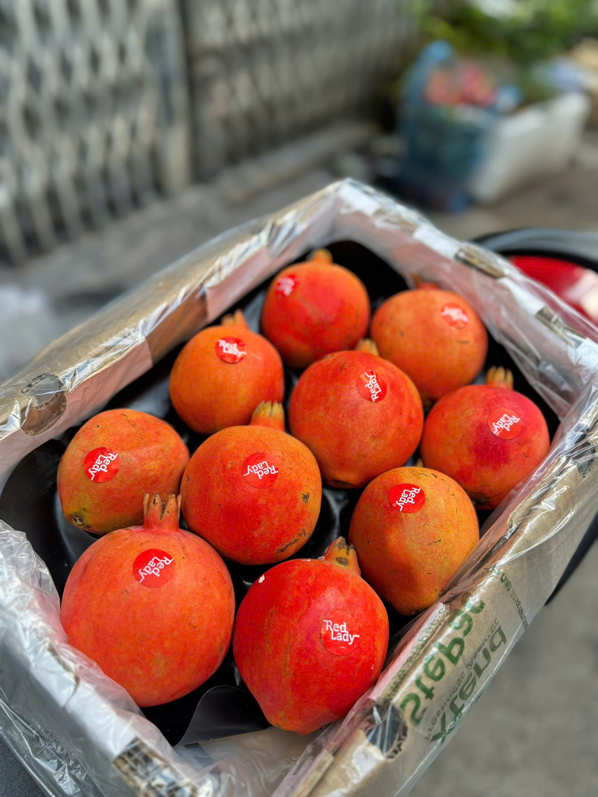 Lựu ấn độ