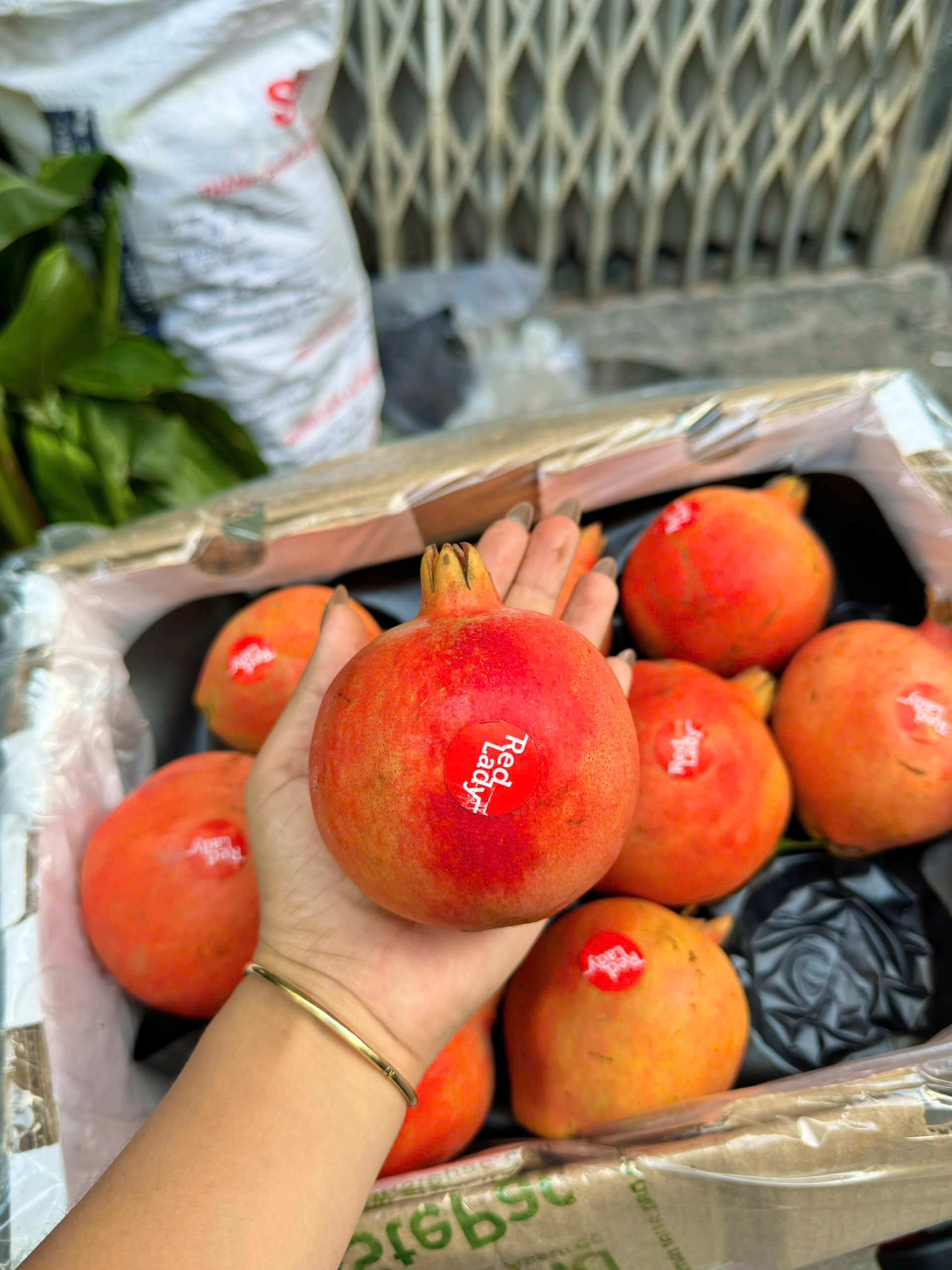 Lựu ấn độ