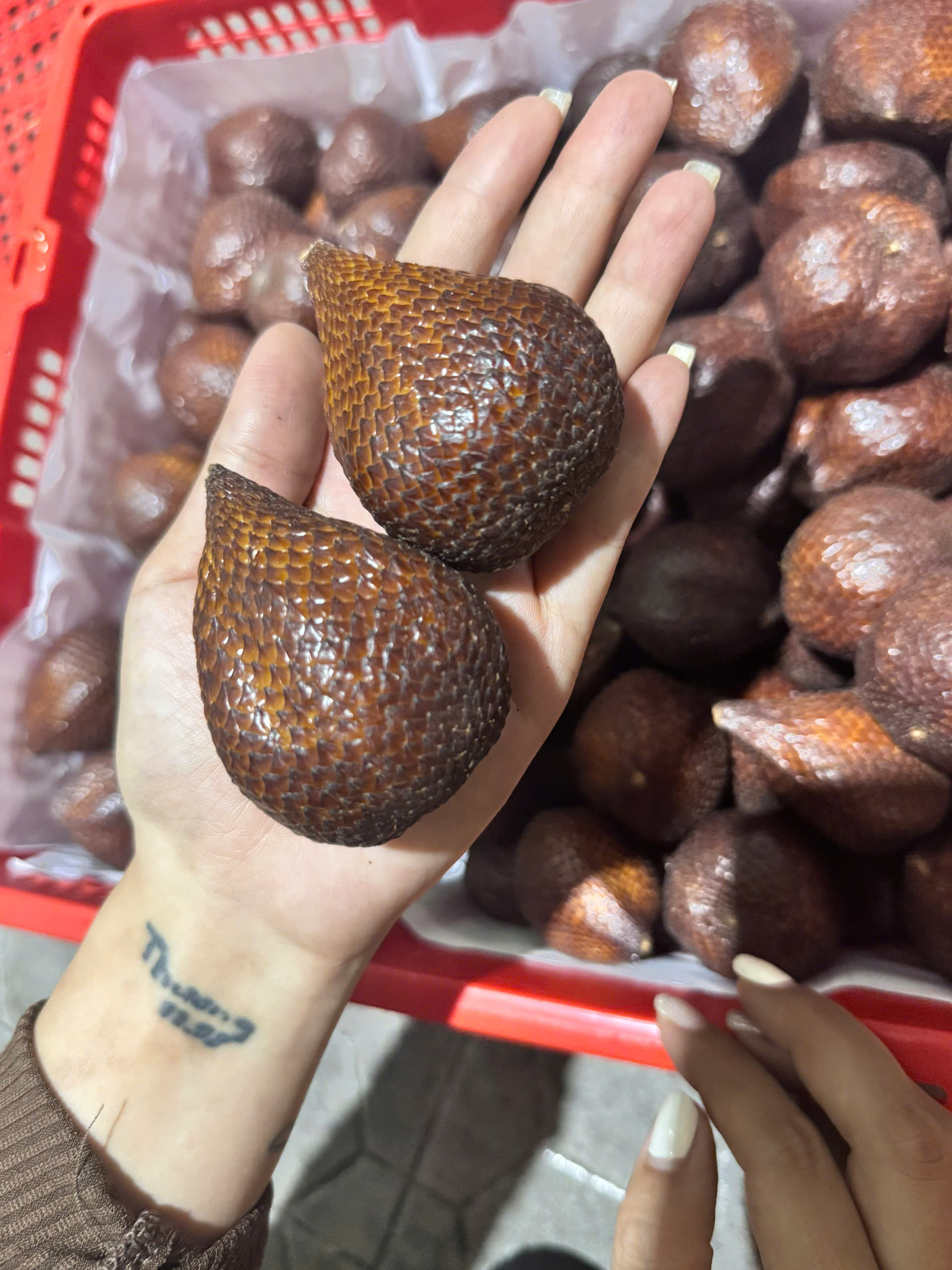 Mây indo