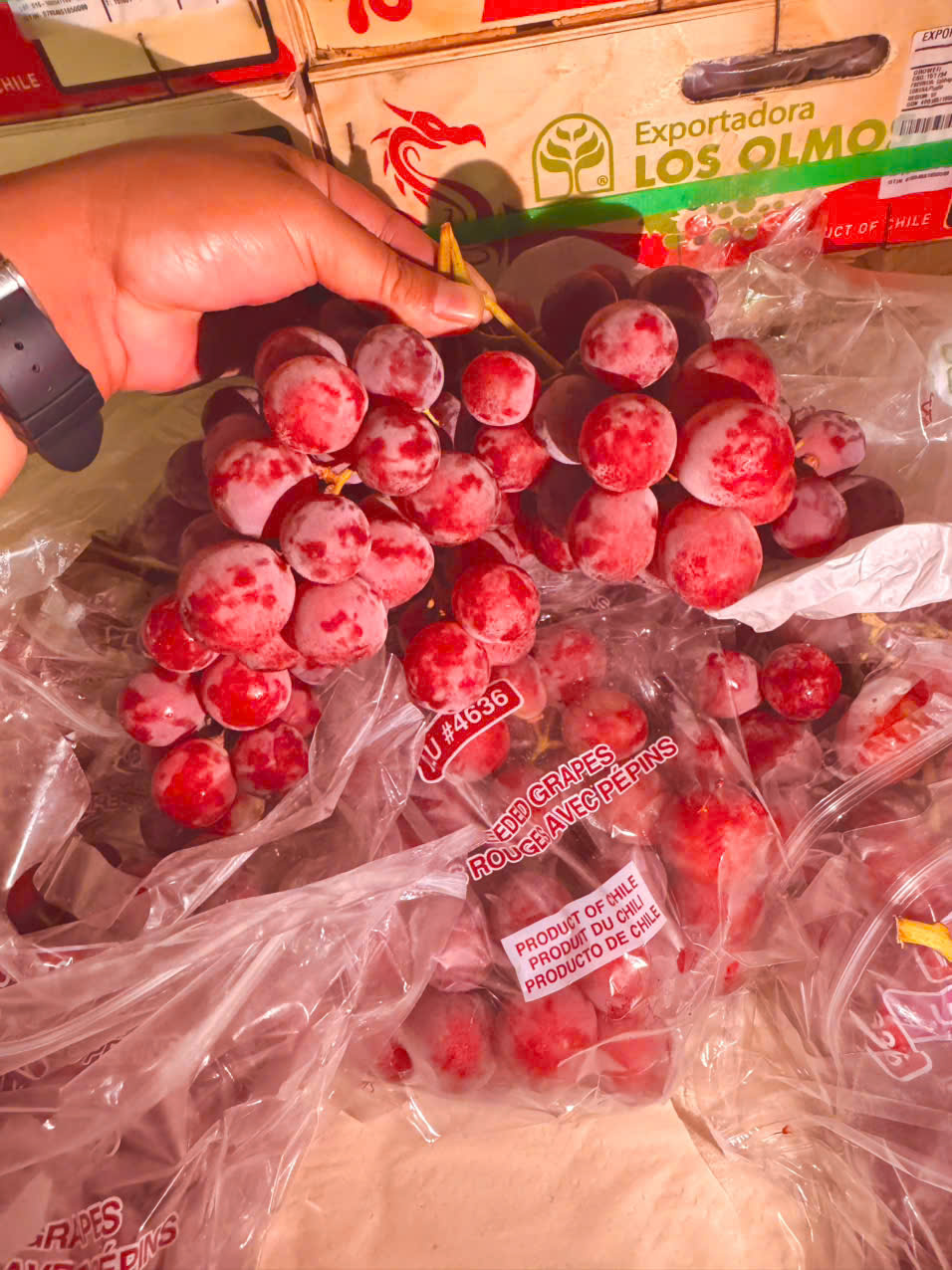 Nho đỏ chile