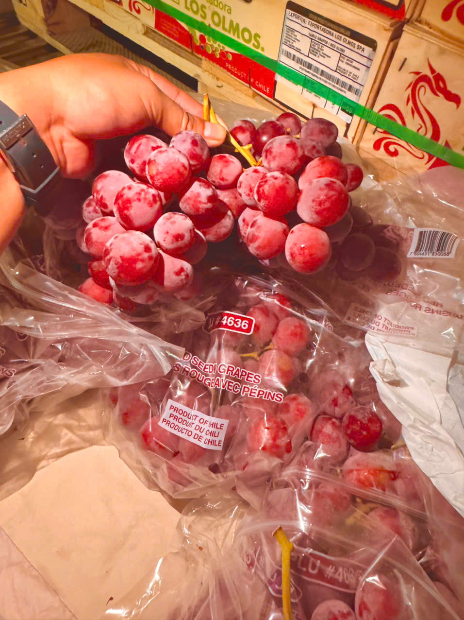 Nho đỏ chile