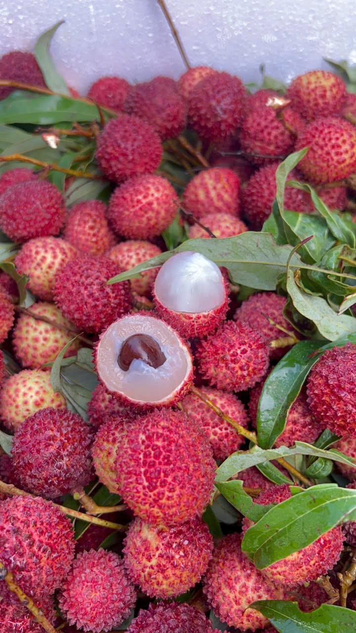 Trái vải thái