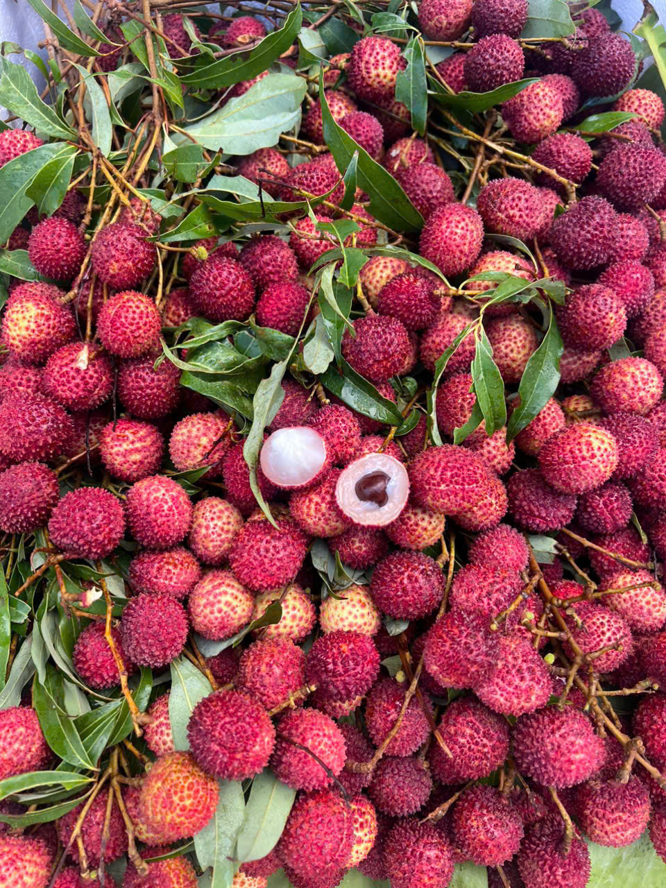 Trái vải thái