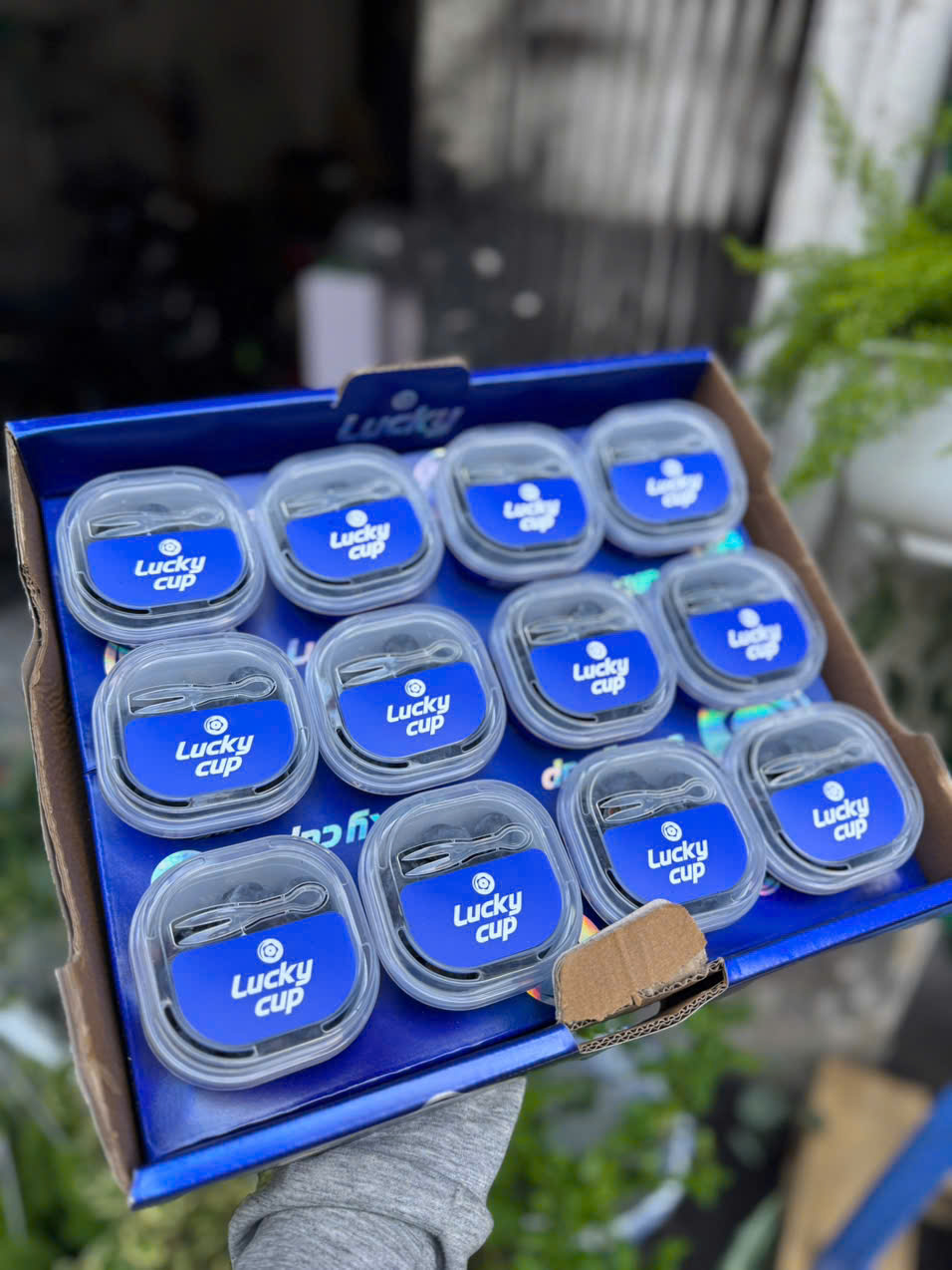việt quất Lucky