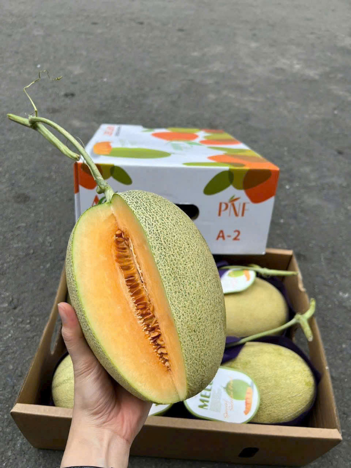 Dưa Aladin 