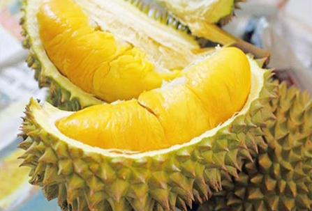 Durian Export